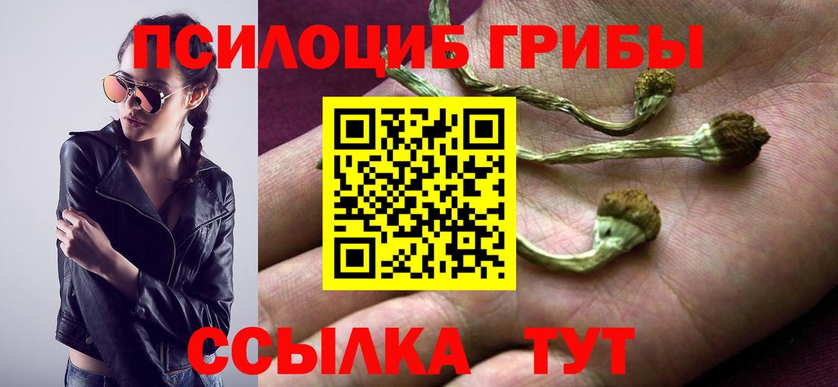 Галлюциногенные грибы Magic Shrooms Лабинск